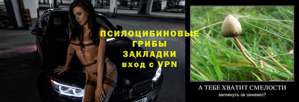 твердый Заволжск