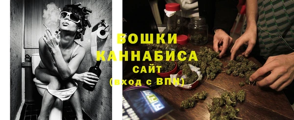 мескалин Заводоуковск