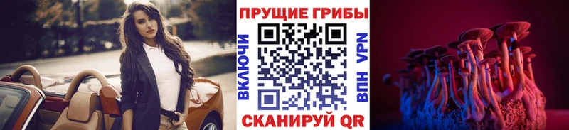 ссылка на мегу зеркало  Новый Уренгой  Галлюциногенные грибы Magic Shrooms 